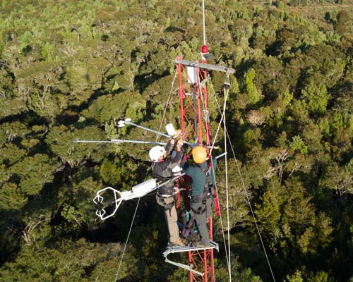 Torre Eddy Covariance ubicada en el matorral del Parque Nacional Bosque Fray Jorge